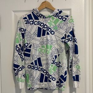 Adidas Blue and Green Graphic Hoodie
